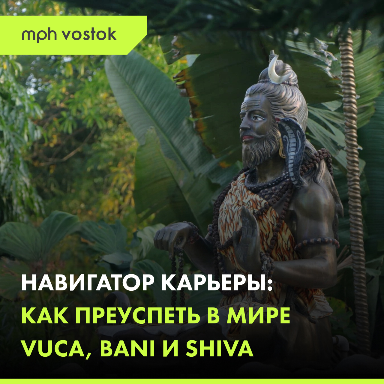 Навигатор карьеры: как преуспеть в мире VUCA, BANI и SHIVA