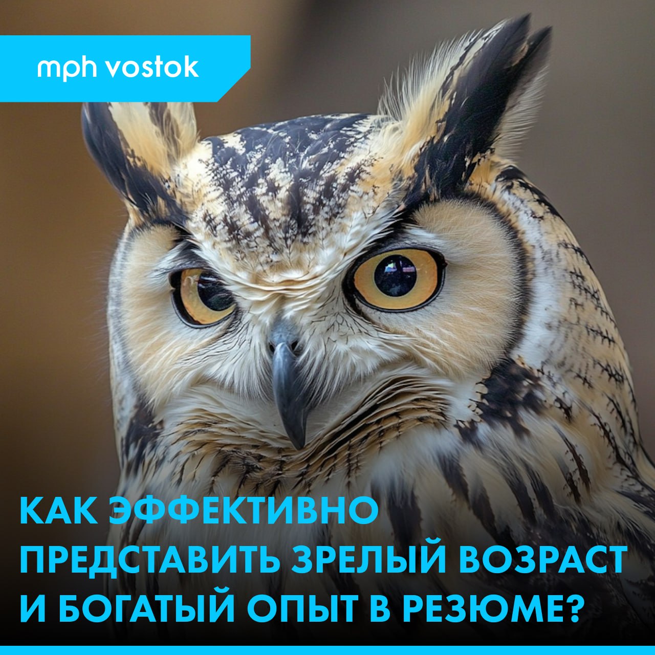 Как эффективно представить зрелый возраст и богатый опыт в резюме?